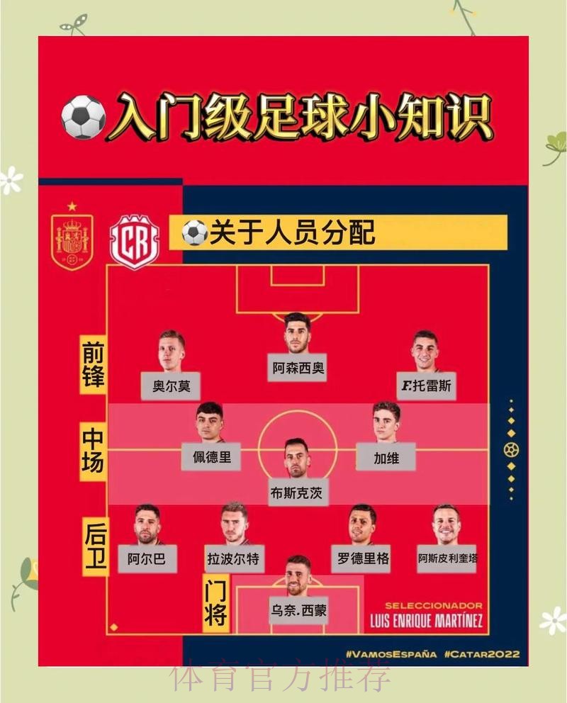 最新版世界杯相关入口信息查询指南